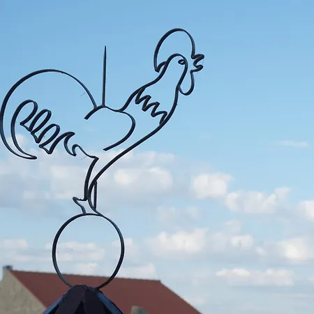 Quinta Da Pedra Grande Alojamento de Turismo Rural Monsanto